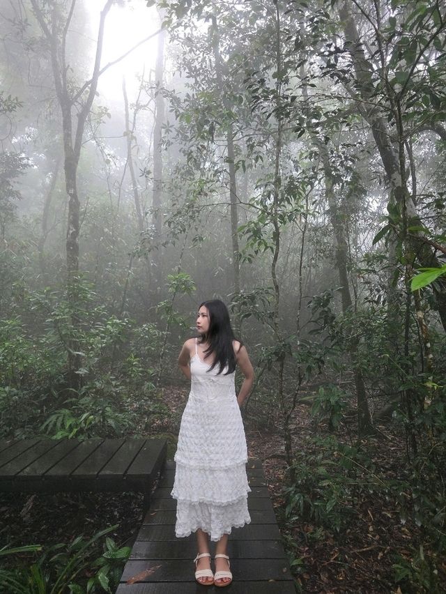 KhaoYai 🌳🍃