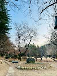 Nami Island: A Serene Escape