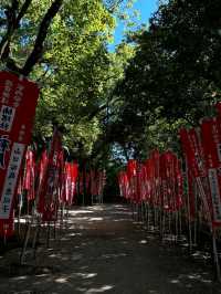 Shrine Strolls