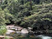 🌿 The Trong Falls — A Hidden Gem Waterfall 🌿