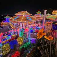 Glowing Vibes & Lantern Dreams