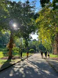 A Tranquil Green Stroll to End the Day at Penang Botanical Garden