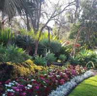 Tranquil Escape at Fitzroy Gardens, Melbourne