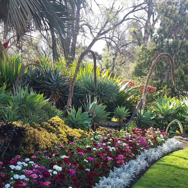 Tranquil Escape at Fitzroy Gardens, Melbourne