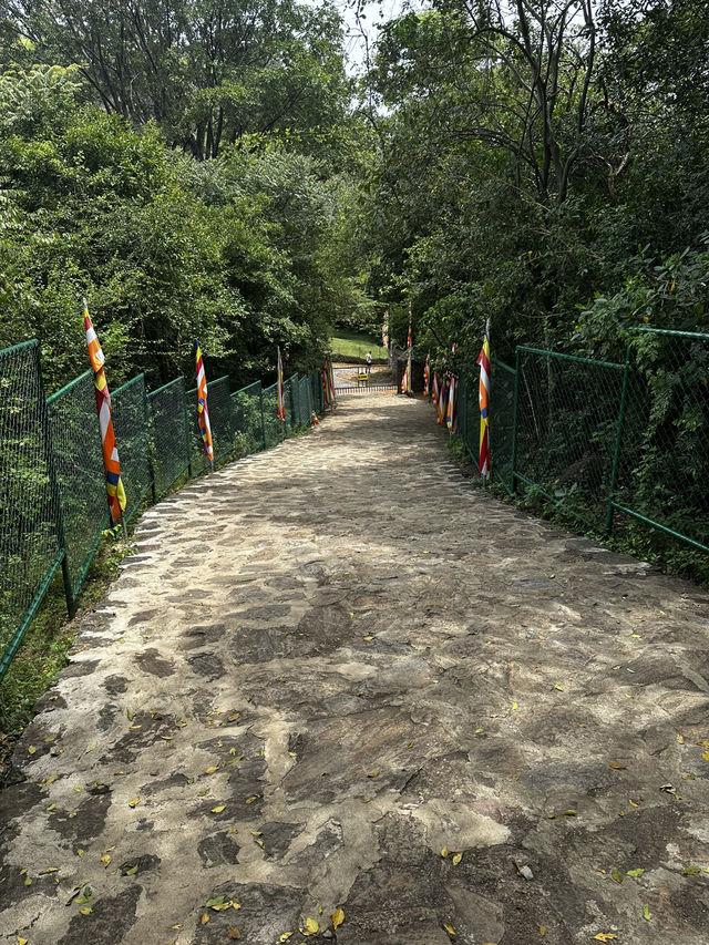 🇱🇰 ダンブッラ石窟寺院