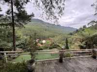 Magnificent Jakarta - Bandung