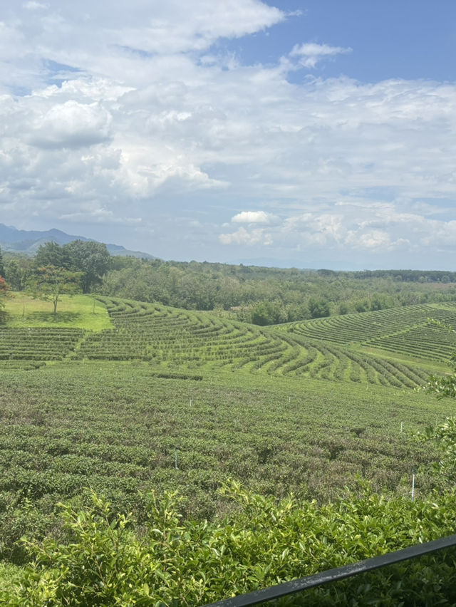 One day Trip @เชียงราย