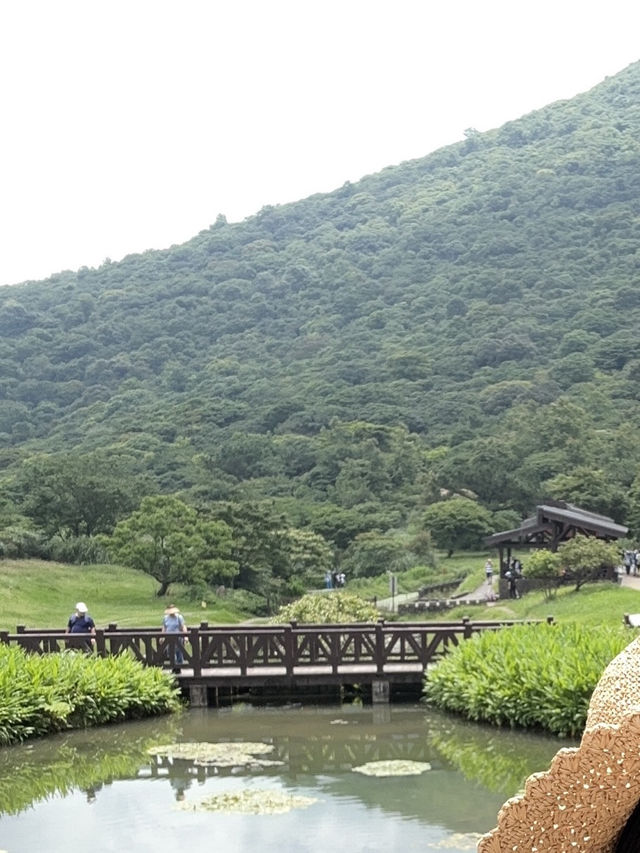 來場北投到陽明山的健走小旅行