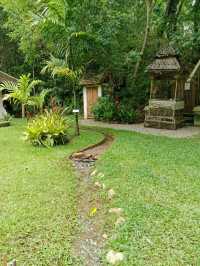 วัดผาลาดวัดสวยกลางป่าท่ามกลางธรรมชาติ เชิงดอยสุเทพ
