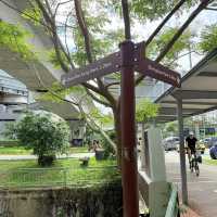 🚶‍♂️🚴‍♀️ Rail Corridor — A Super Friendly Weekend Hiking & Cycling Route!