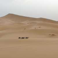 🐫🌅 Camel Trekking in the Sahara: A Magical Desert Adventure
