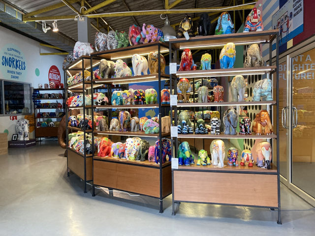 Elephant Parade ❤️ Mosha