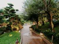 Tranquility in the Heart of the City 