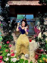 Garden of Wonder — Disney Magic in Full Bloom at Gardens by the Bay