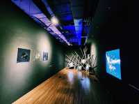🎨【沉浸式藝術空間】釜山Museum WON：當光影與聲音共舞