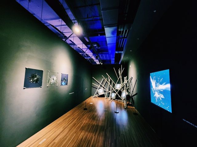🎨【沉浸式藝術空間】釜山Museum WON：當光影與聲音共舞