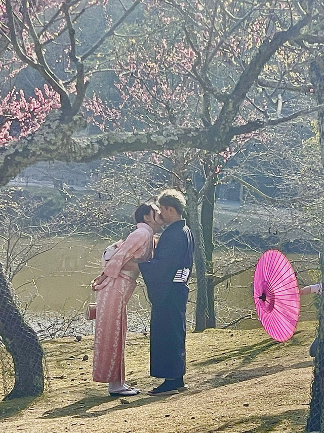 奈良｜春日大社的神鹿與浪漫 細數旗下神秘的壺神神社、拍子神社