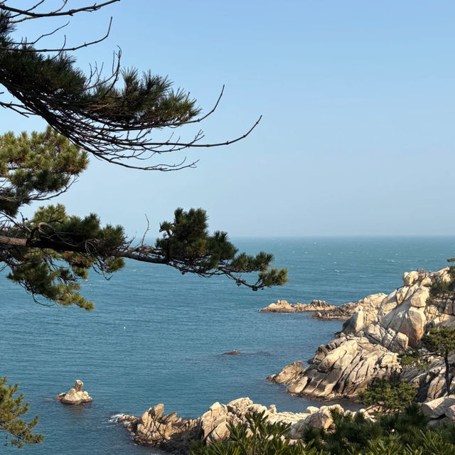 🇰🇷 Hidden Gem in Korea | Ulsan Healing Escape