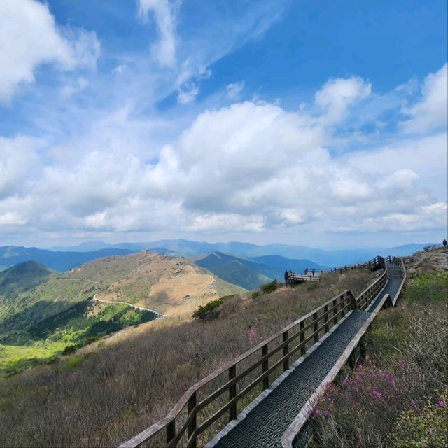 Yeongnam Alps in Summer