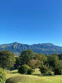 🌋 阿蘇 – 大地の息吹を感じる熊本の絶景スポット