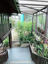 Hornbill Restaurant & Café: A Unique Dining Experience Amid Nature at KL Bird Park