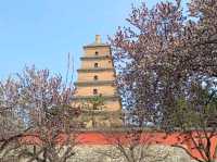 🇨🇳 เจดีย์ห่านป่าใหญ่ (Giant Wild Goose Pagoda)