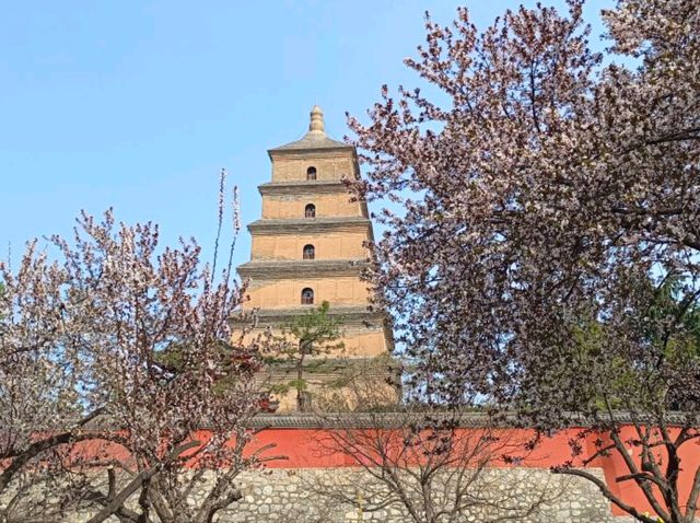 🇨🇳 เจดีย์ห่านป่าใหญ่ (Giant Wild Goose Pagoda)