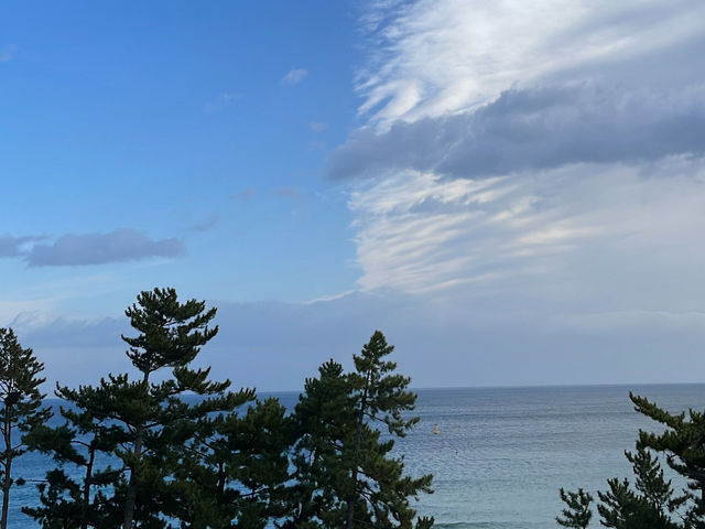 🔔 햇살이 머무는 바다, 삼척의 하루 🌊