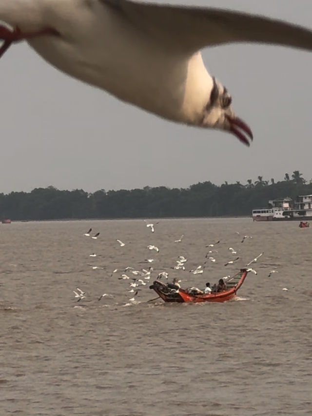 🌇 Chasing Sunsets & Feeding Birds at Botataung Jetty