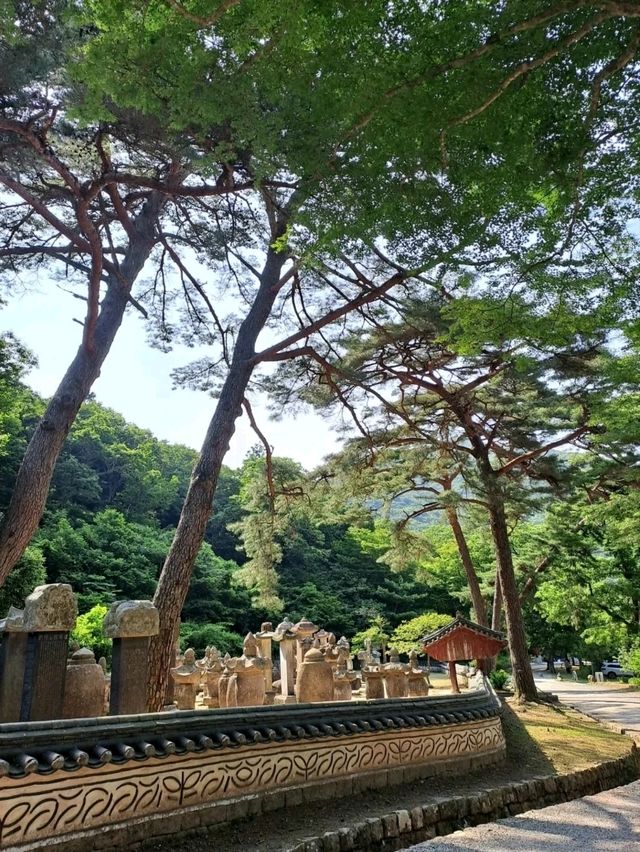 Hiking, Temples, and Vibes I Didn’t Expect