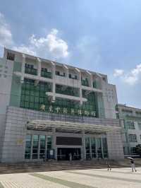 Guangdong Museum of Traditional Chinese Medicine – A Calm Dive into Ancient Wisdom