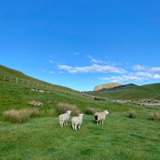 Cape Farewell: The Wild and Scenic Northern Tip of the South Island! 🌬️🌊