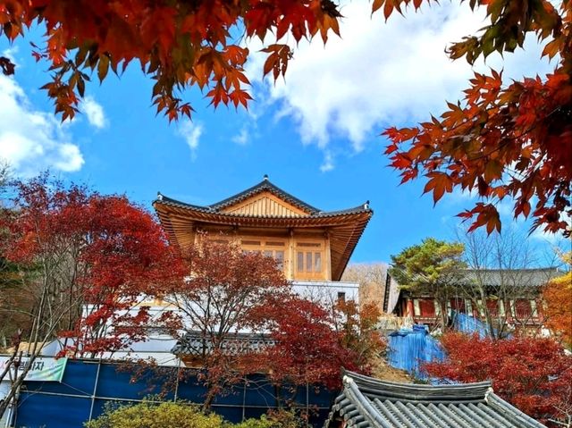 Temple Trails