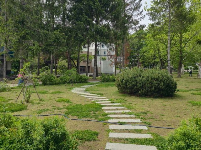 해외여행 일본 삿포로 여행 중 들린 Midorigaoka Park
