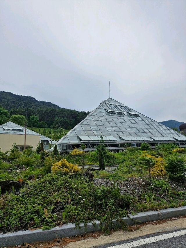 예쁨 식물이 가득한 알파인하우스전시온실🌲