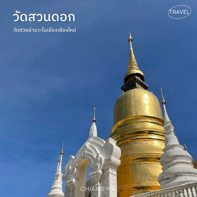 วัดสวนดอก วัดสำคัญคู่เมืองเชียงใหม่