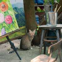 Mhuan fun cafe & art : ระยอง 🎨🌿☕