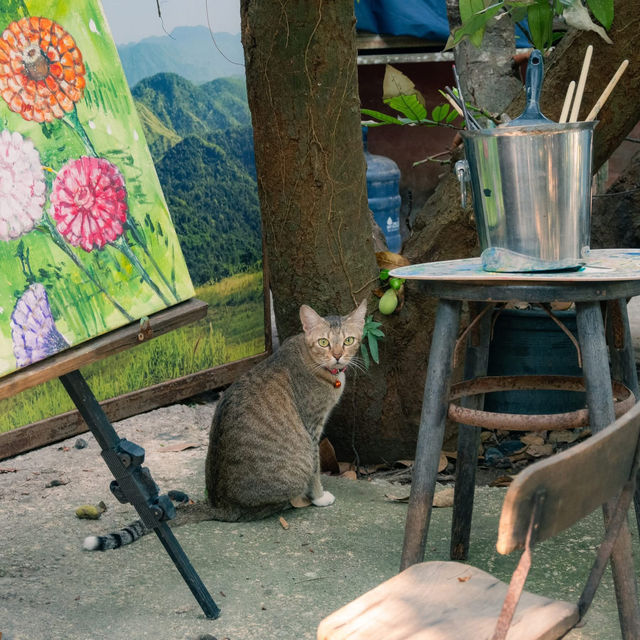 Mhuan fun cafe & art : ระยอง 🎨🌿☕