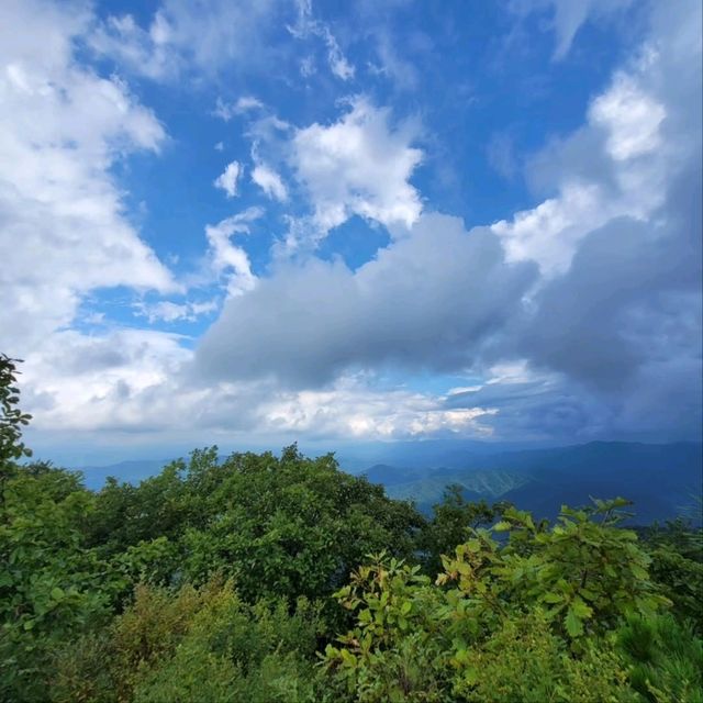Hidden Gem Feels, Gongjak Mountain 