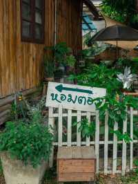💚 " หอมตอง " 💚