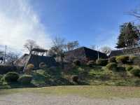 🏞️ Strolling Through History – Morioka Castle Site Park (Iwate Park)