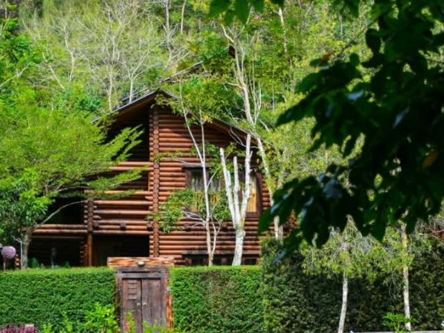 🍃✨ Philea Resort & Spa Melaka – Sleep in a Wooden Wonderland! 🏡🌿