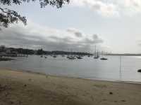 🌅 Watsons Bay – Laid-back Coastal Charm with Harbour Views