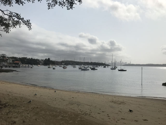 🌅 Watsons Bay – Laid-back Coastal Charm with Harbour Views