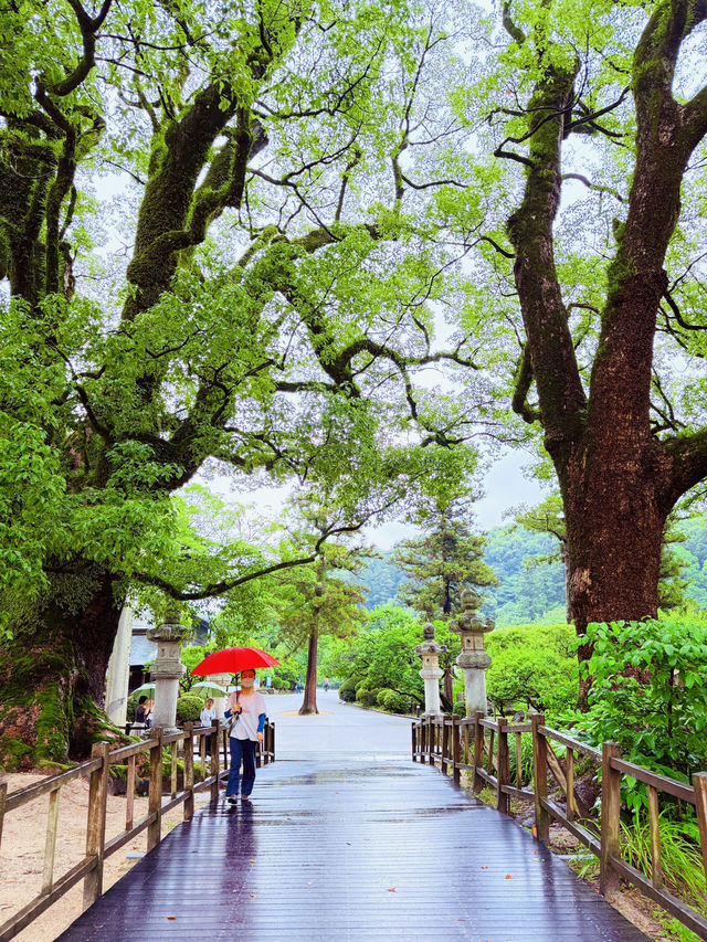 太宰府天滿宮& 九州國立博物館