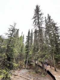 Everything You Need to Know for Visiting Shuangqiaogou at Mount Siguniang