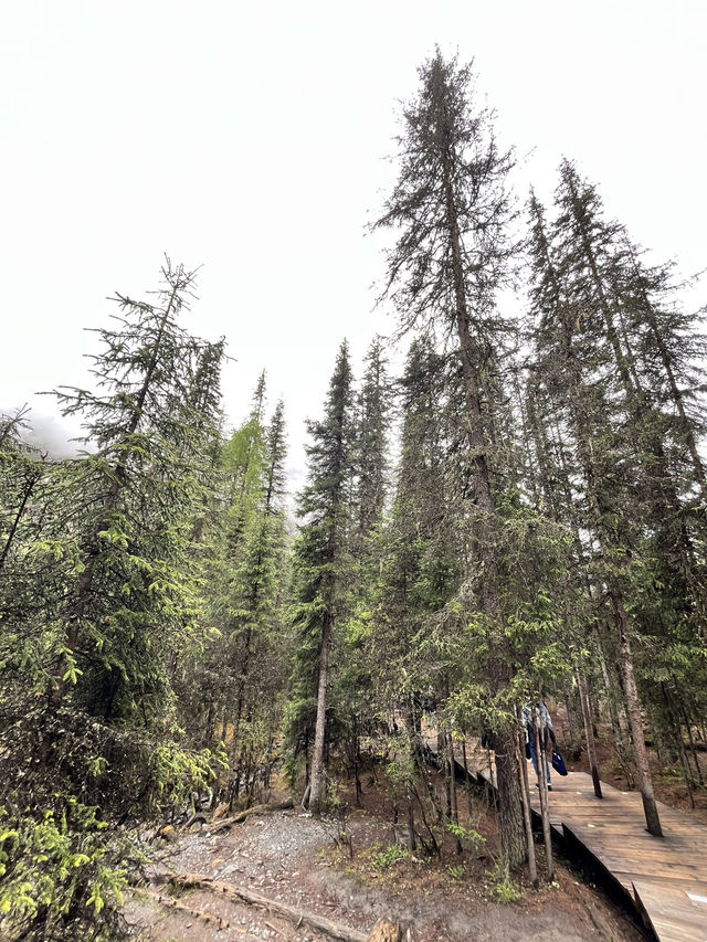 Everything You Need to Know for Visiting Shuangqiaogou at Mount Siguniang