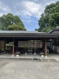 🍃都会のオアシス「清澄庭園」の魅力