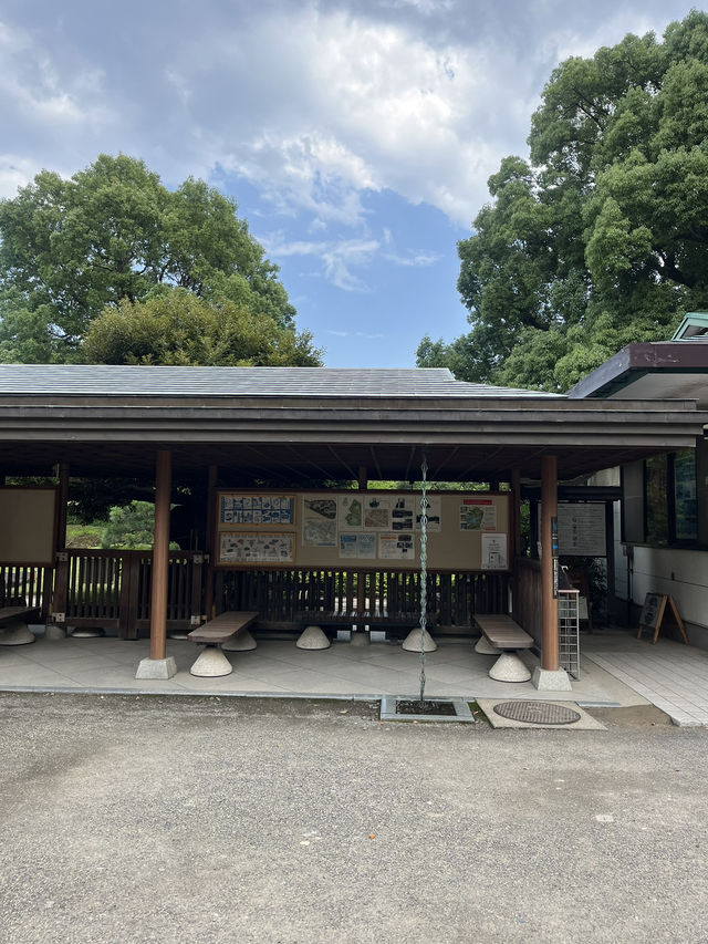 🍃都会のオアシス「清澄庭園」の魅力