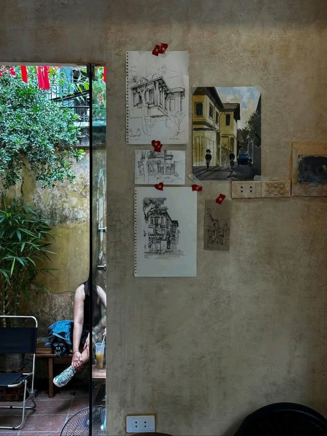 PAI OI at